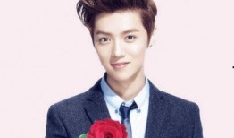 大幂幂爆料鹿晗视频大全,视频大全曝光独家瞬间